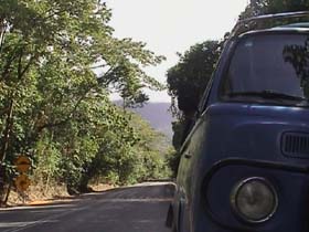 Cassowary Country