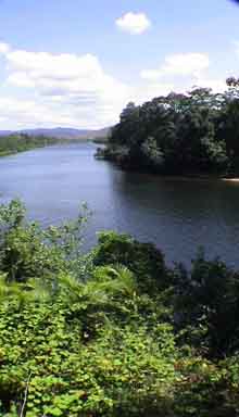 Daintree River