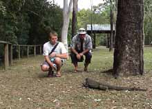 Checking out a Wandering Goanna at Cape Bowling Green NP