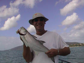 Australian Salmon