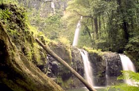 The Classic View of Nandroya Falls