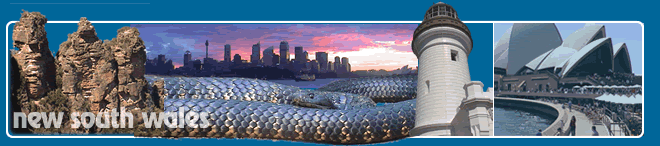 Travels from Sydney to Surfer's Paradise