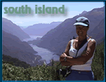Review of the South Island