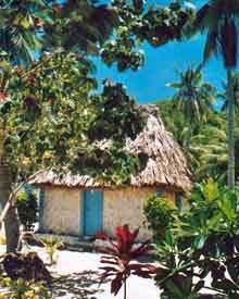 Our Traditional Fijian Bura