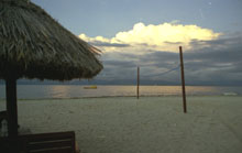 4 people, 1 island & a slab of Fiji Bitter